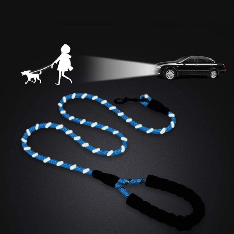 Leash for dog and cat adjustable - 150 / 200 / 300 cm - carabiner