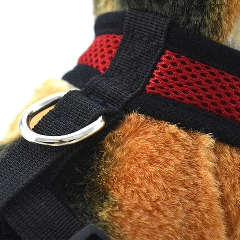 Mesh dog and cat harness - adjustable