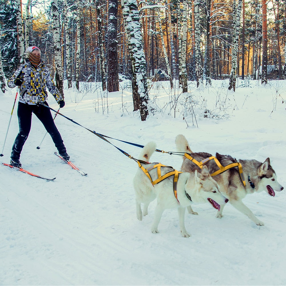 Dog sled harness - PET ARTIST