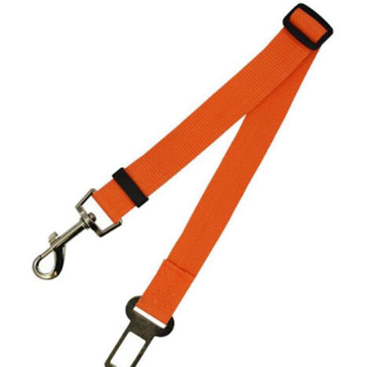 Sangle de sécurité pour animaux de compagnie - Multifonctionnelle et réglable