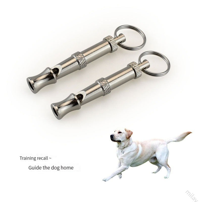 dog training whistle