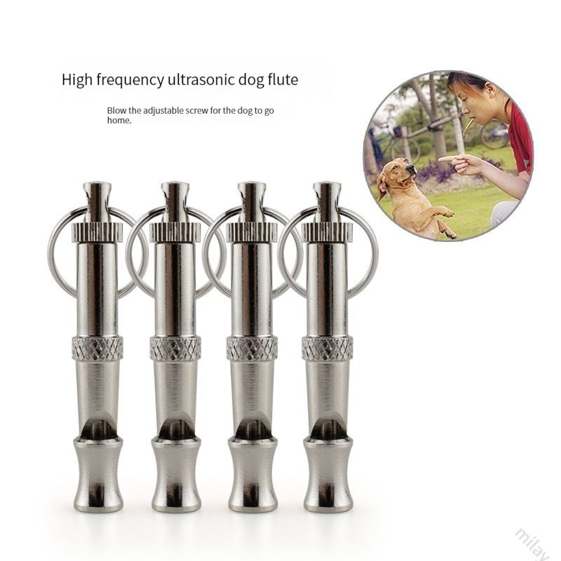dog training whistle