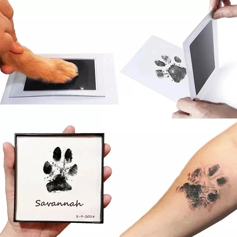 Kit empreinte patte de chien -