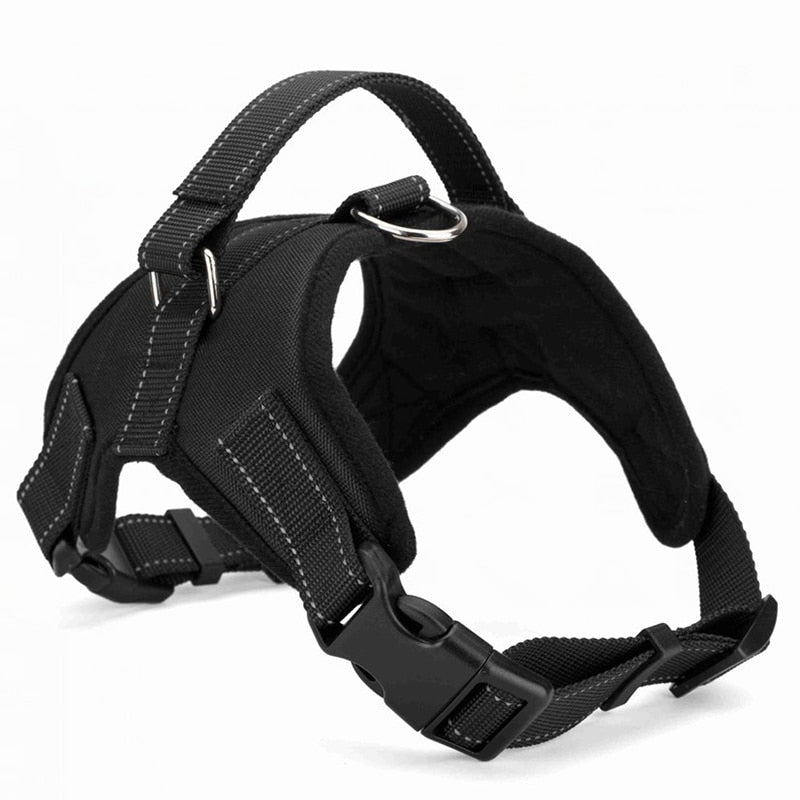 Quick release dog harness - puppy compatible