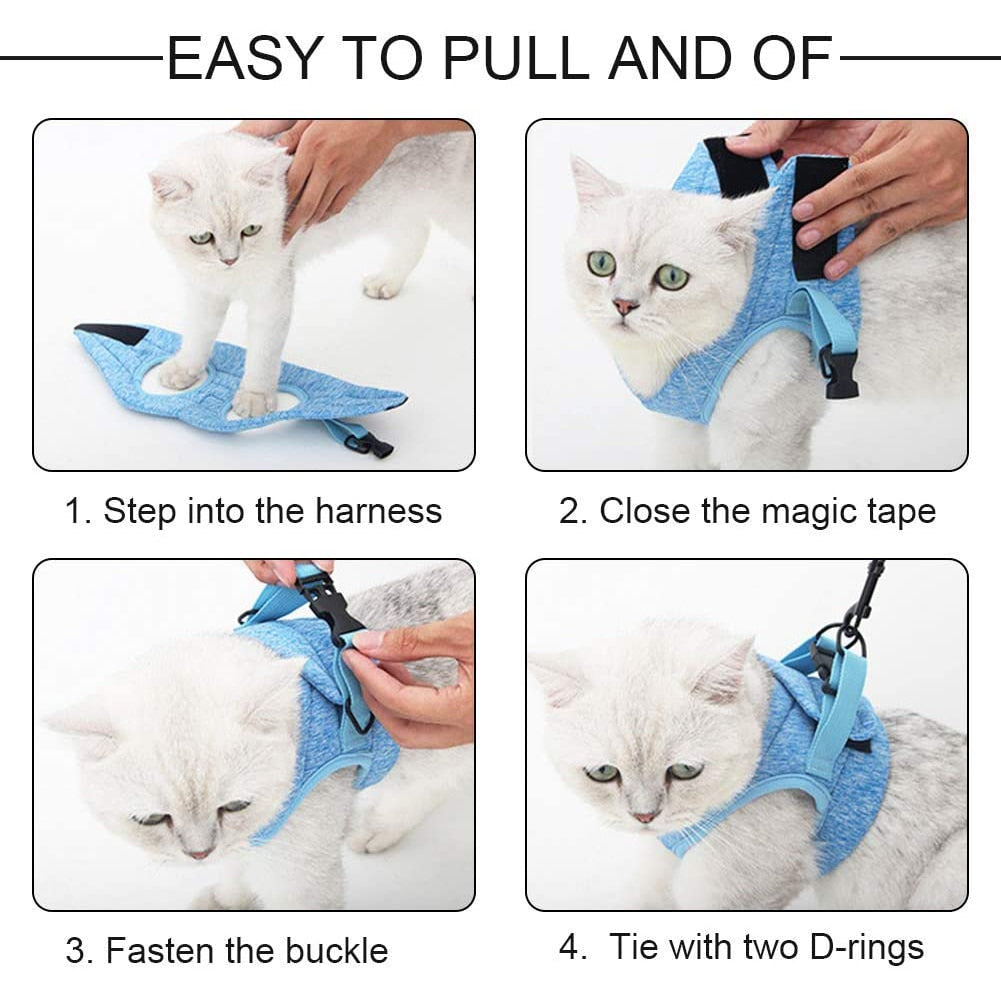 Harness for cat and kitten - S / M / L - Adjustable