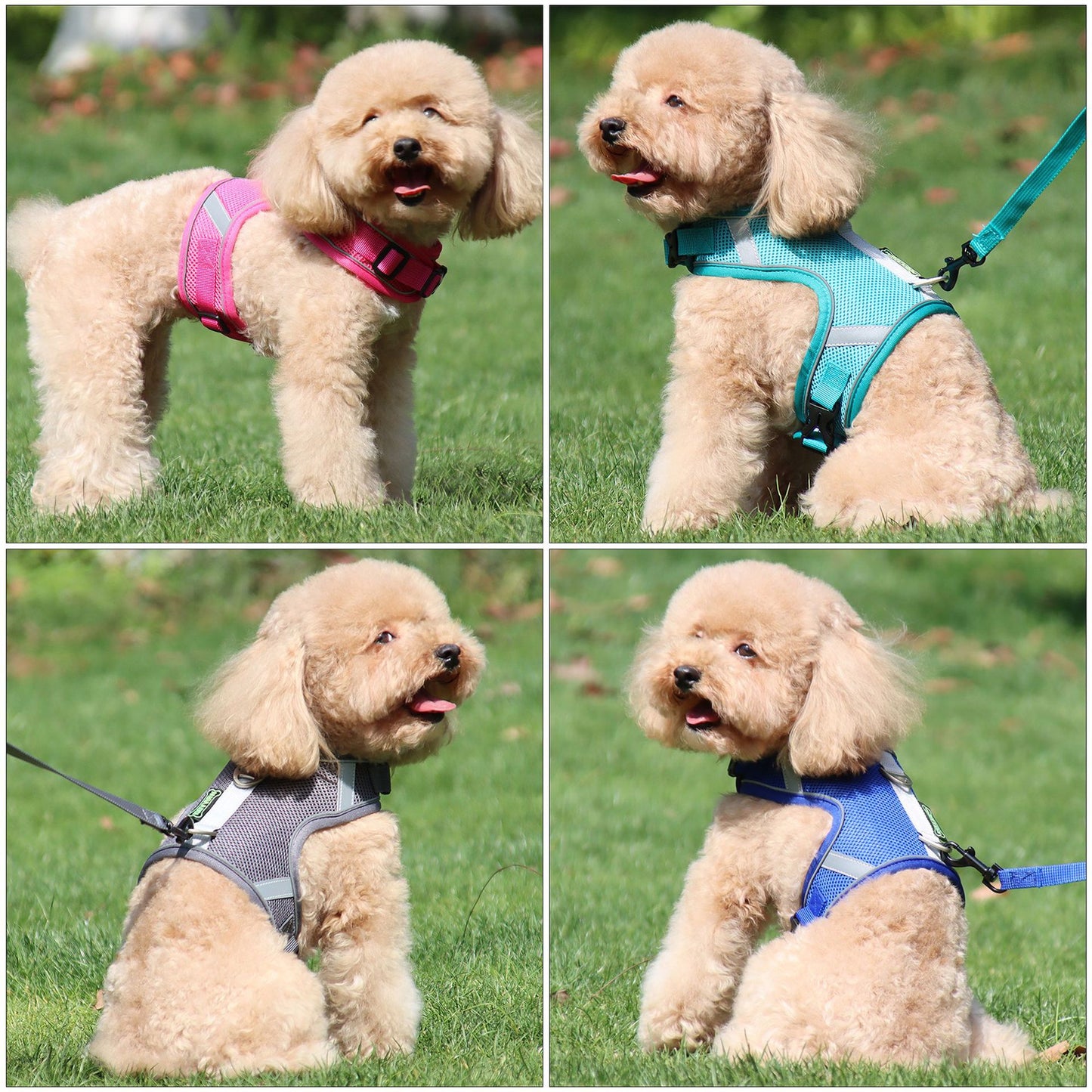 Adjustable nylon dog harness and leash - reflective safety collar