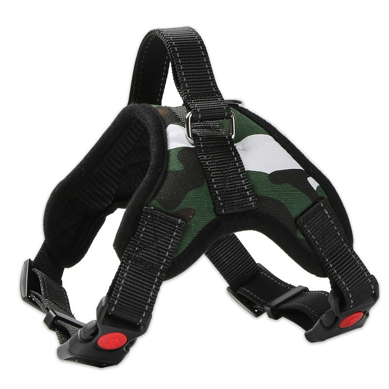Quick release dog harness - puppy compatible