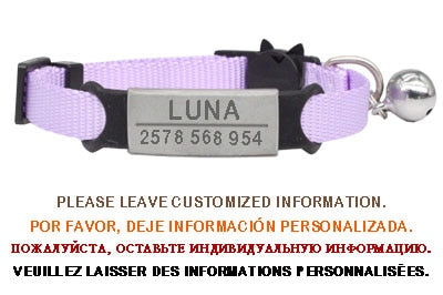 Kitten and cat collar with engraving