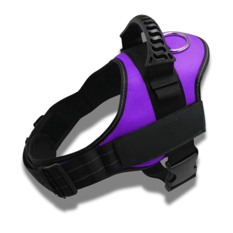 Customizable dog harness 