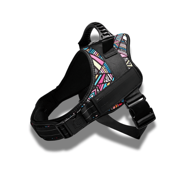 Customizable dog harness 