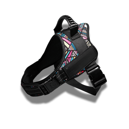 Customizable dog harness 