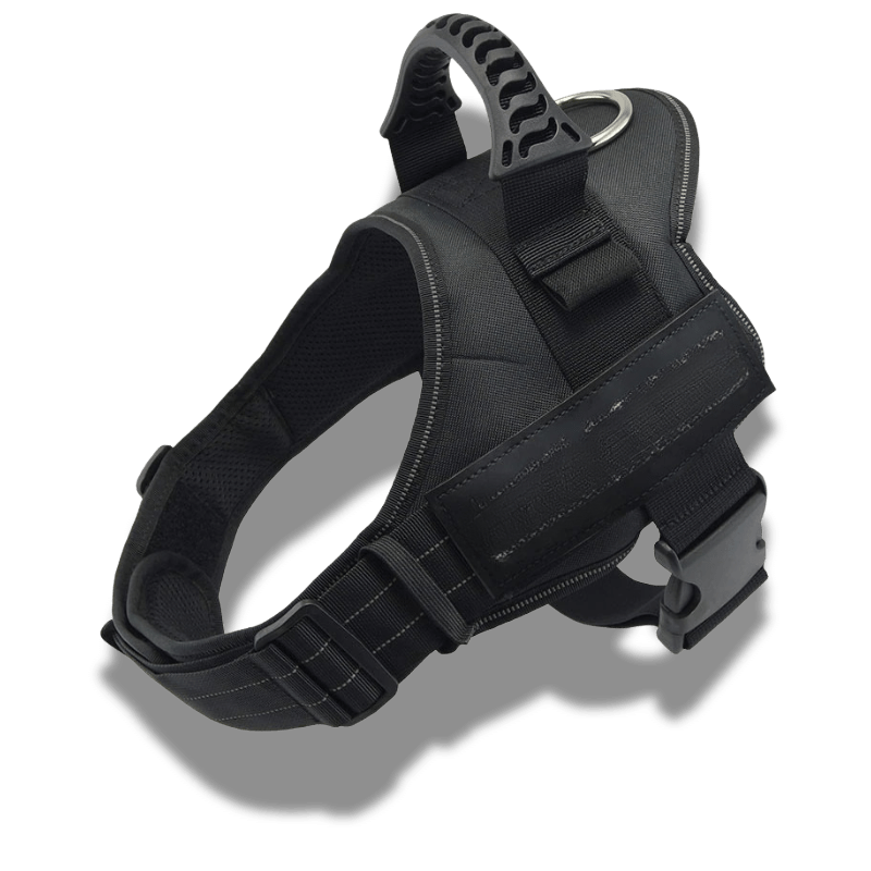 Customizable dog harness 