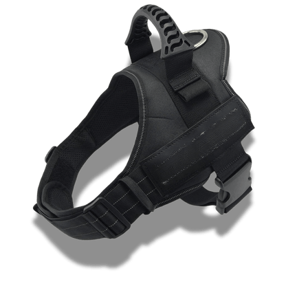 Customizable dog harness 