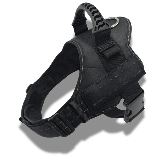 Customizable dog harness 