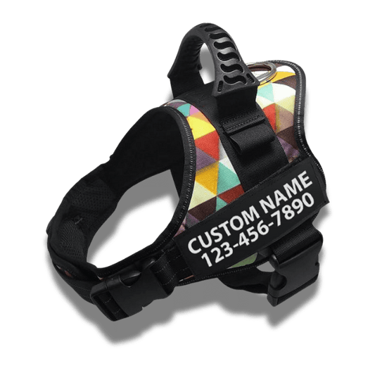Customizable dog harness 