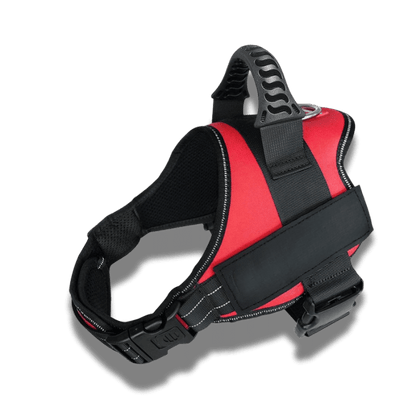 Customizable dog harness 