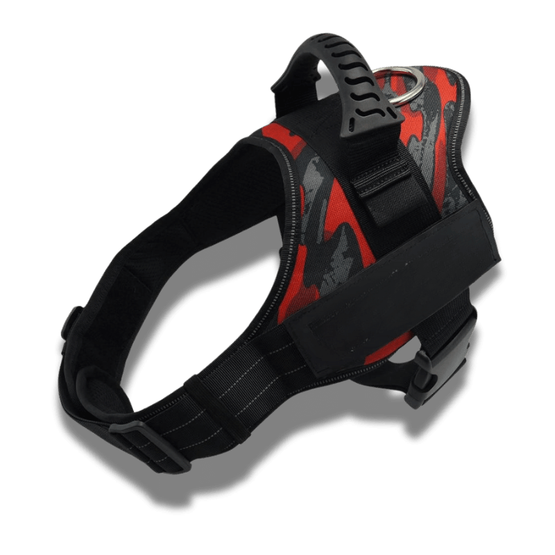 Customizable dog harness 