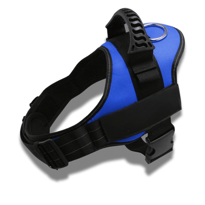 Customizable dog harness 