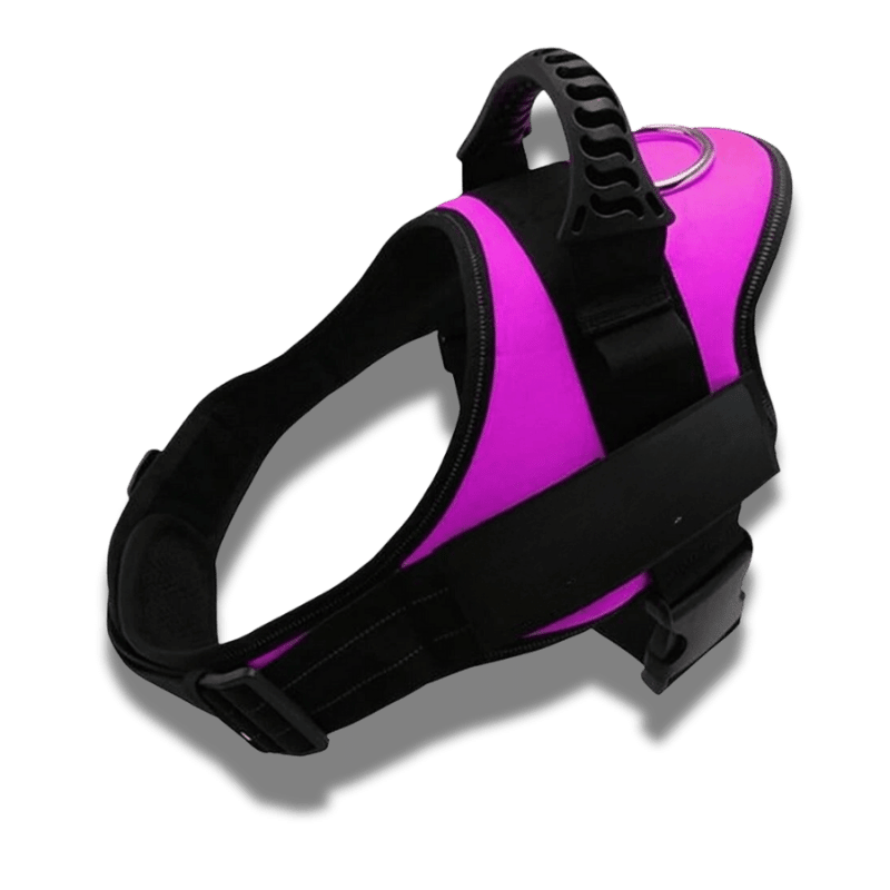 Customizable dog harness 