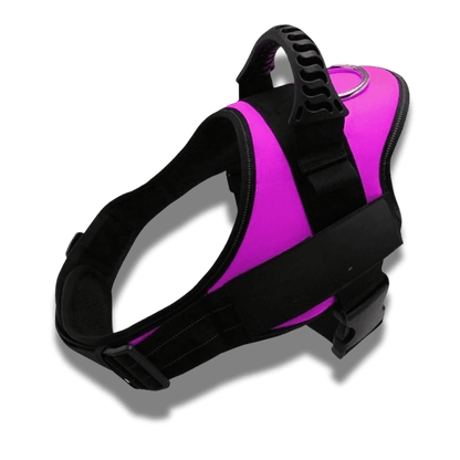 Customizable dog harness 