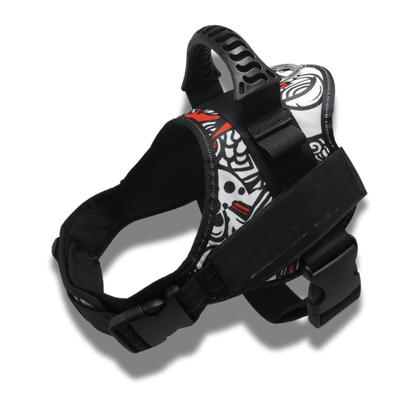 Customizable dog harness 
