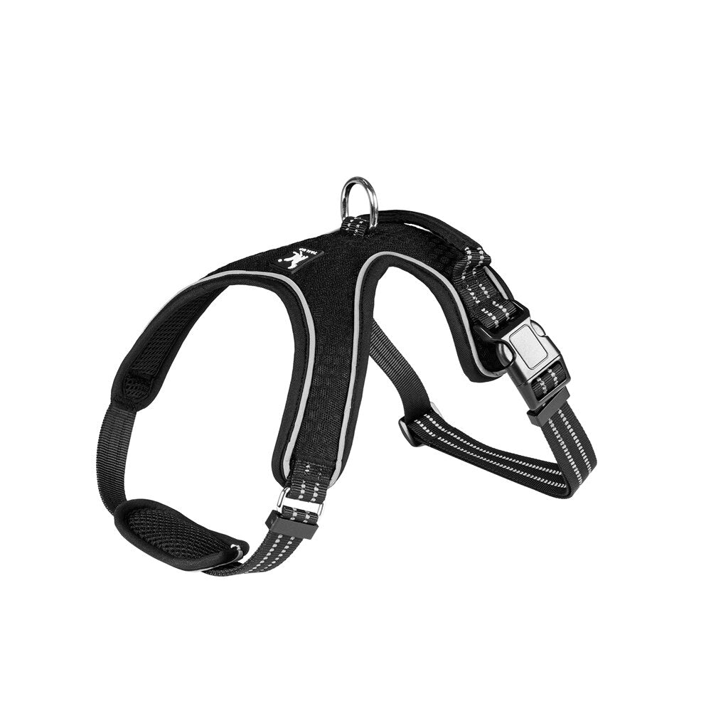 Adjustable nylon harness and leash for dogs - for small and large dogs