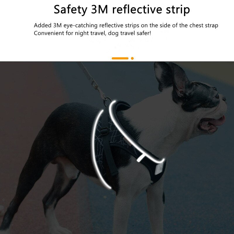 Design and reflective chest harness