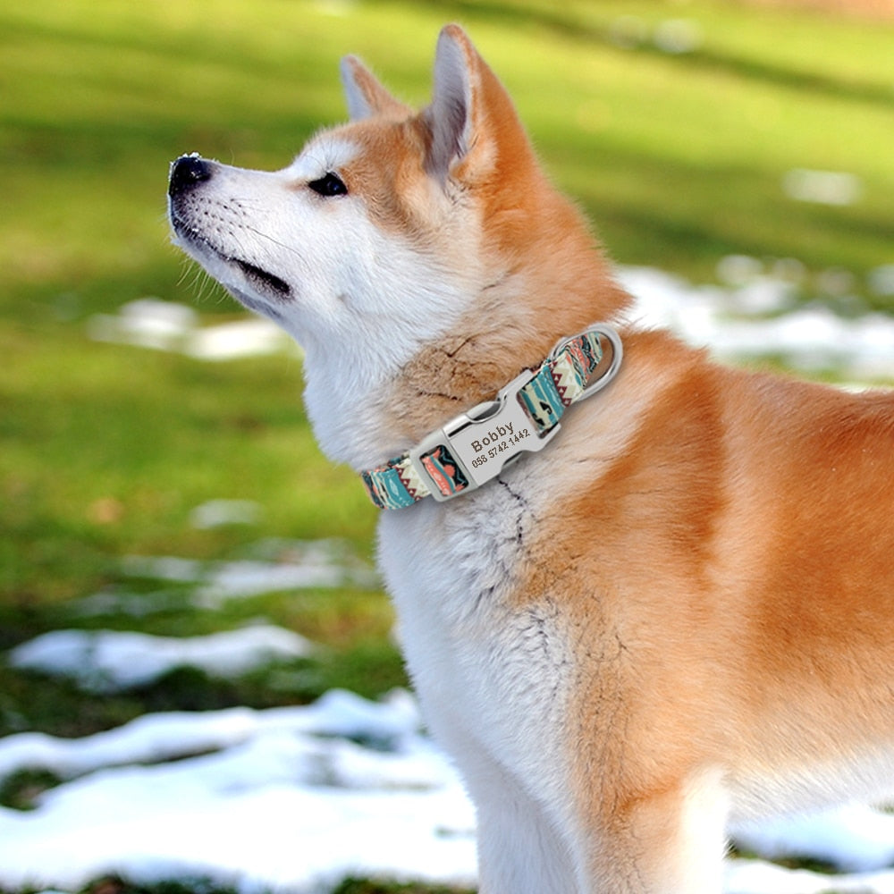Personalized nylon dog and cat collar - Free engraving!