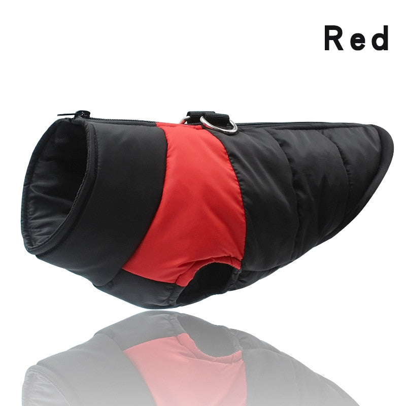 Veste Imperméable pour Chien - Chaud pour l'Hiver