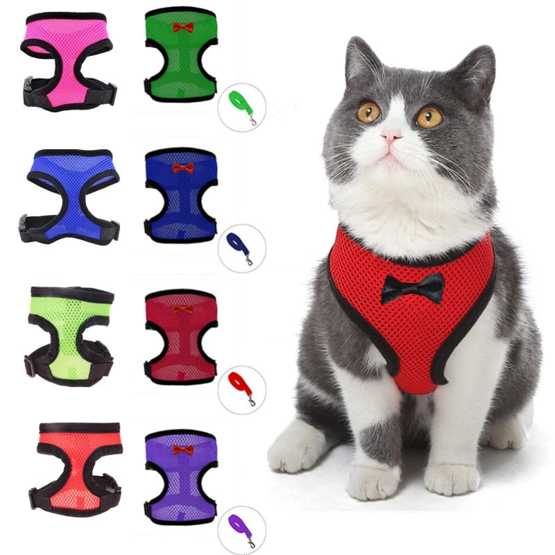 Mesh dog and cat harness - adjustable