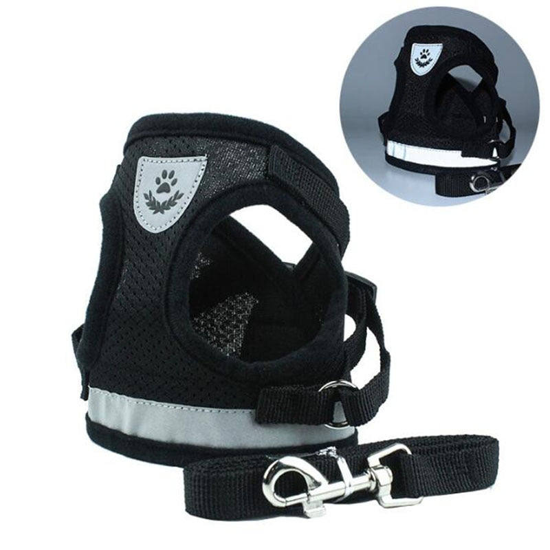 Pack Harness + padded foam leash