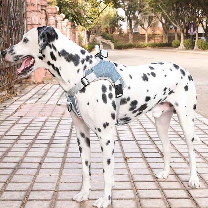 Reflective nylon dog harness - for small and large dogs