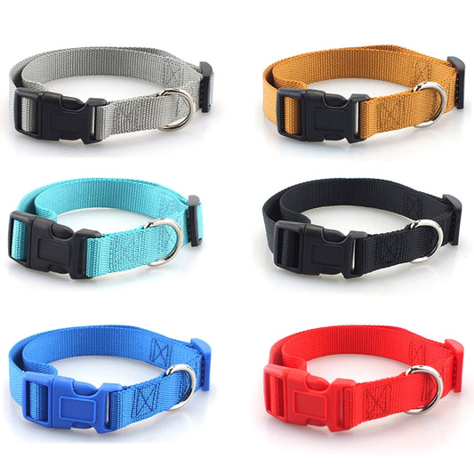Dog collar - made of nylon, adjustable and robust