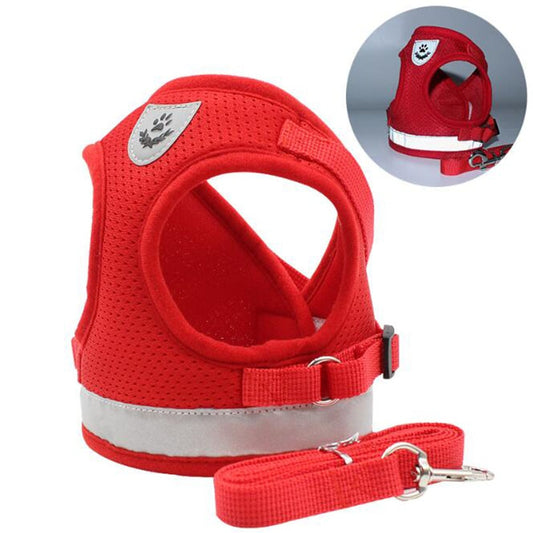 Pack Harness + padded foam leash