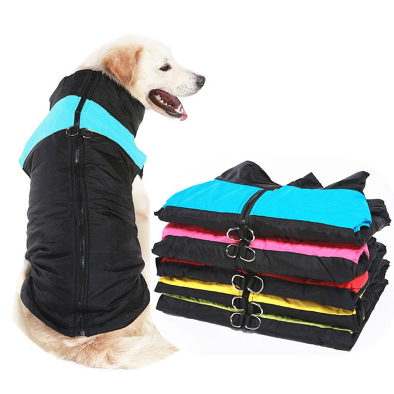 Veste Imperméable pour Chien - Chaud pour l'Hiver