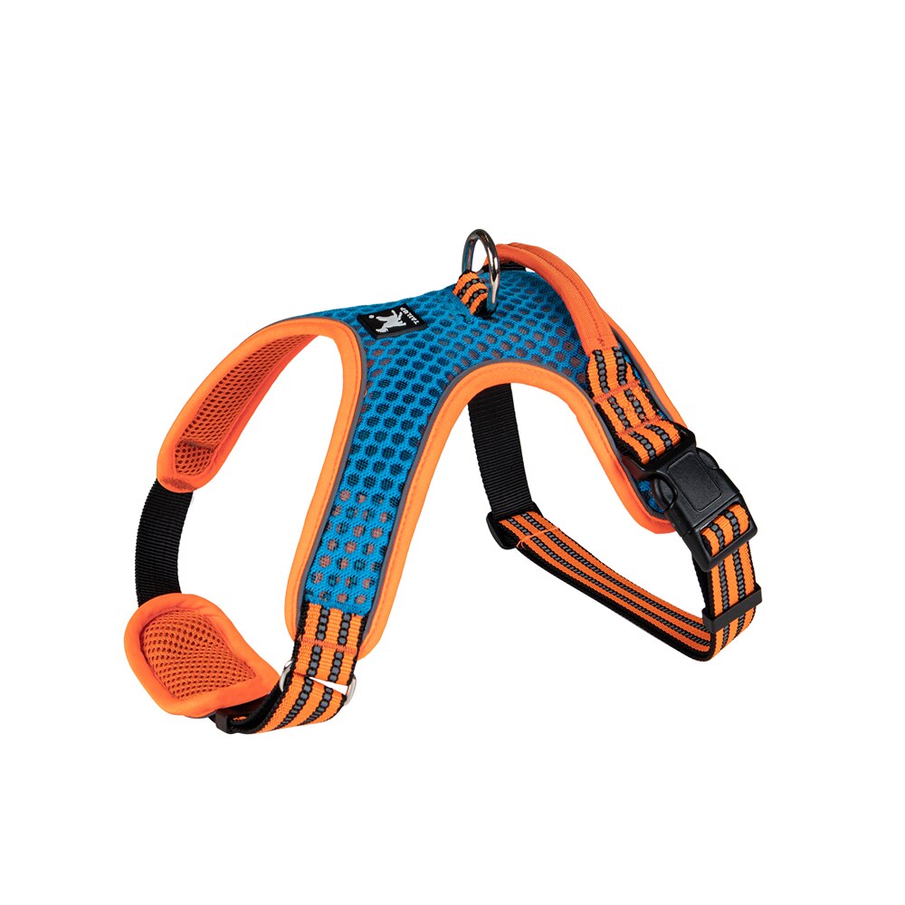 Adjustable nylon harness and leash for dogs - for small and large dogs