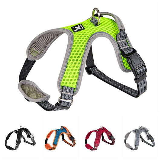 Adjustable nylon harness and leash for dogs - for small and large dogs