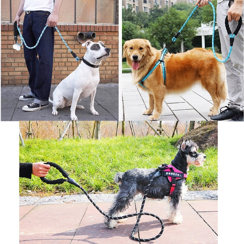 Leash for dog and cat adjustable - 150 / 200 / 300 cm - carabiner
