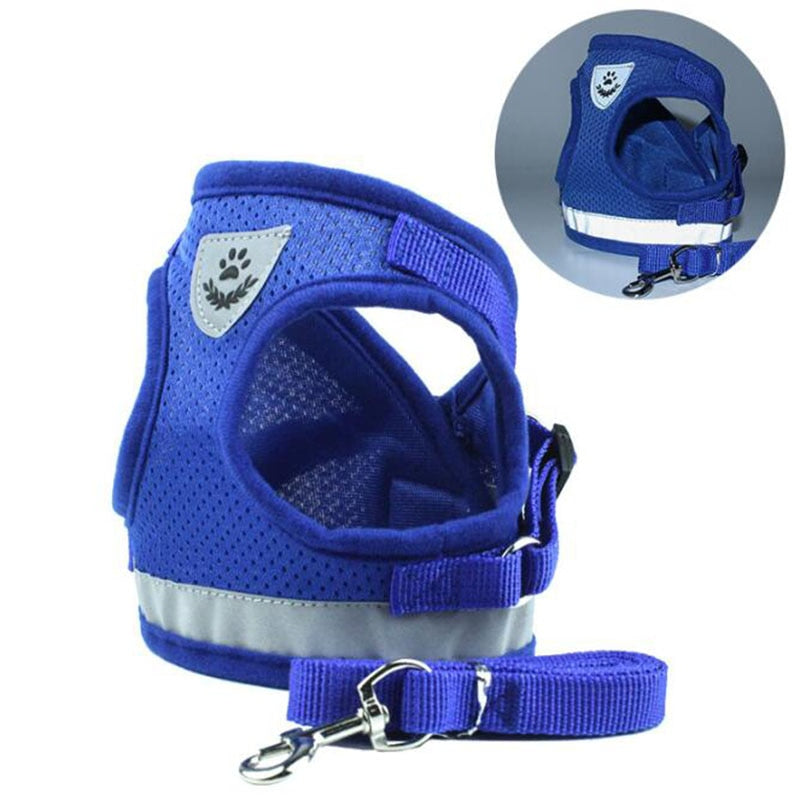 Pack Harness + padded foam leash