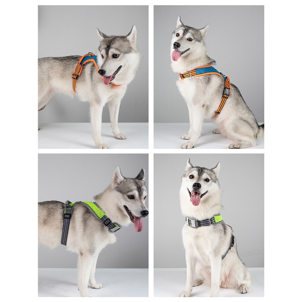 Adjustable nylon harness and leash for dogs - for small and large dogs