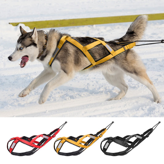Dog sled harness - PET ARTIST