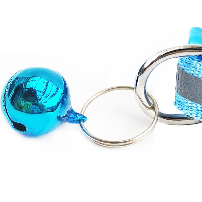 Reflective dog collar - for nighttime safety
