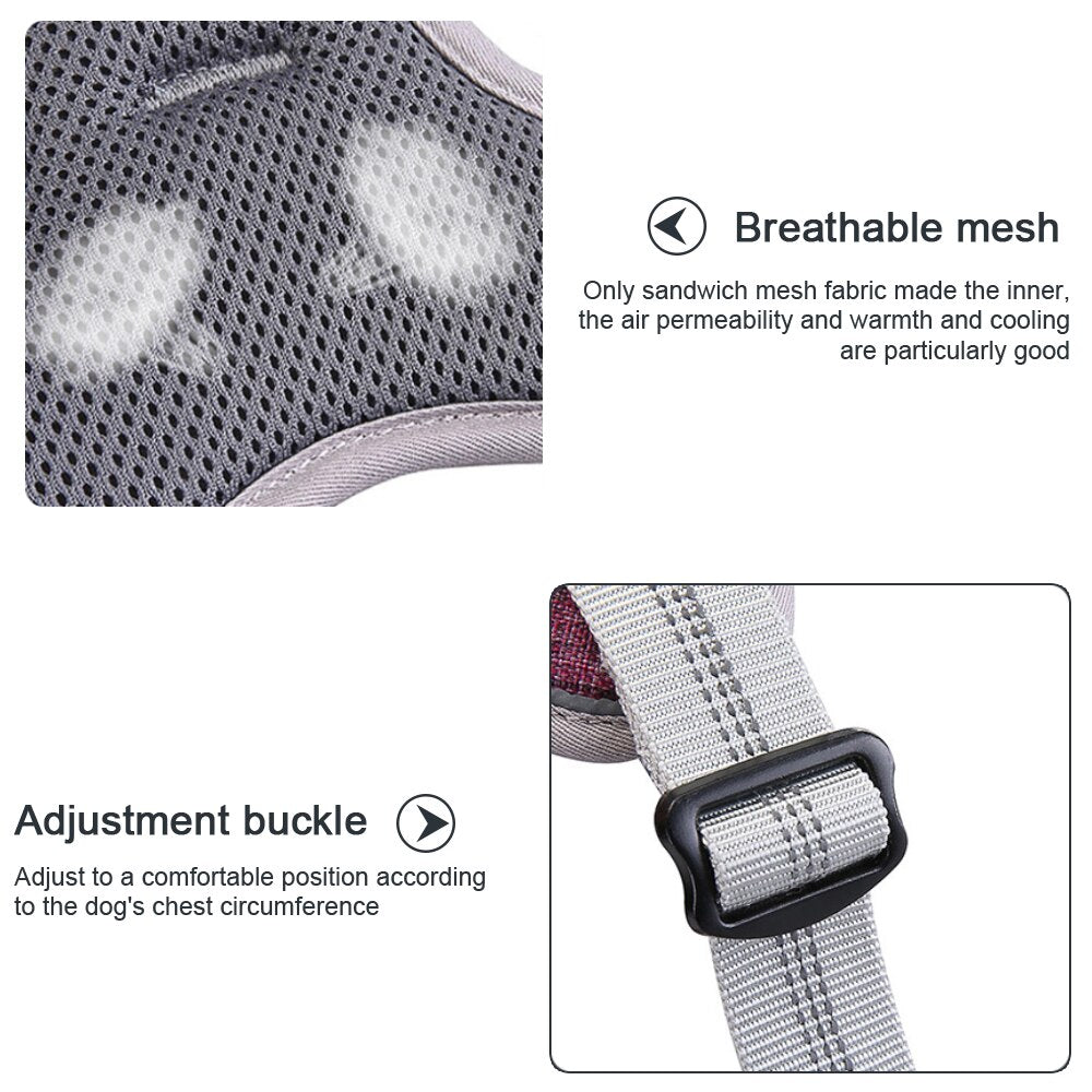 Reflective nylon dog harness - for small and large dogs