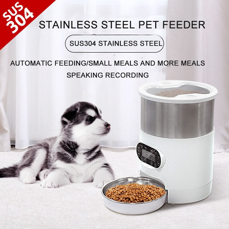 Automatic bowl - double stainless steel bowl