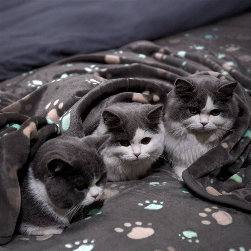Pet blanket - Large, thick and soft