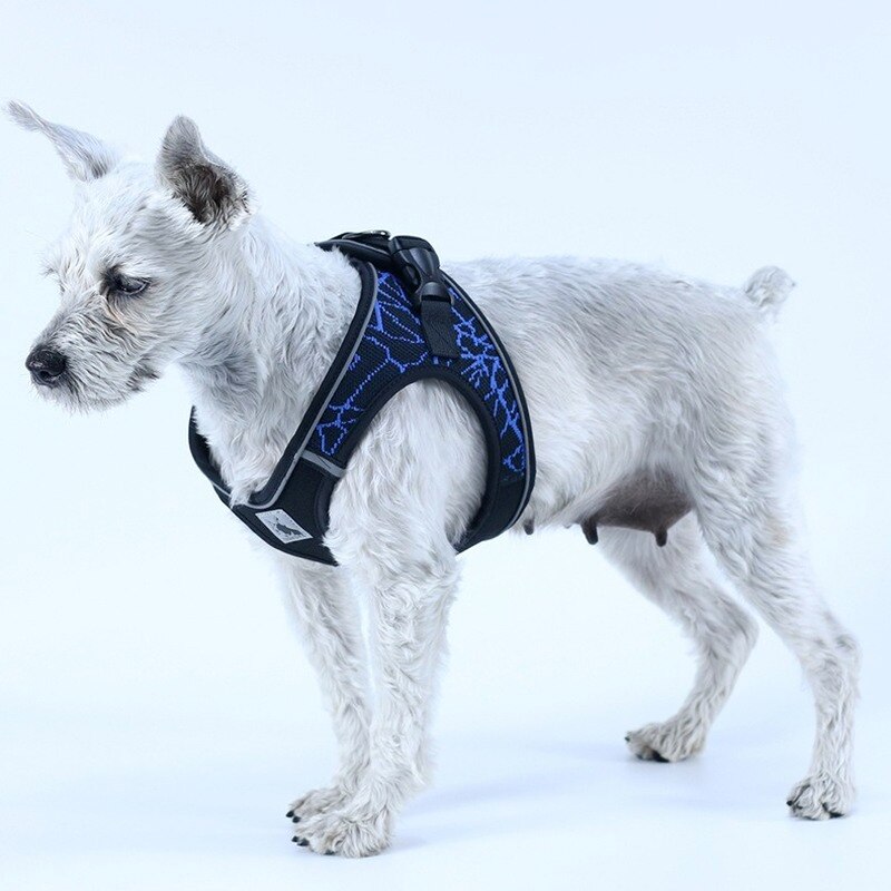Design and reflective chest harness