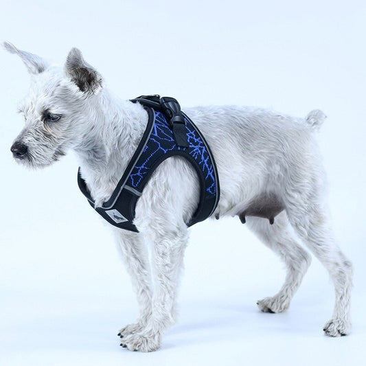 Design and reflective chest harness