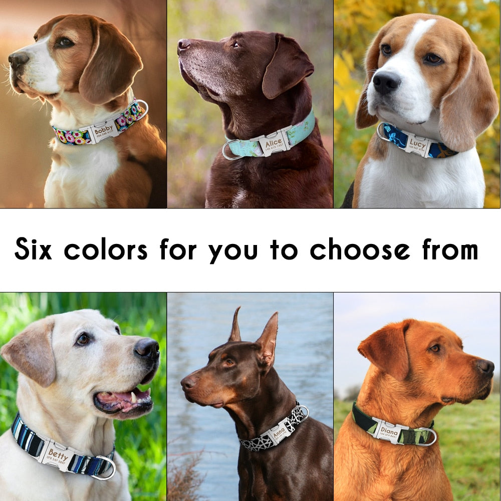 Personalized nylon dog and cat collar - Free engraving!