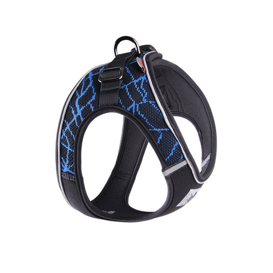 Design and reflective chest harness