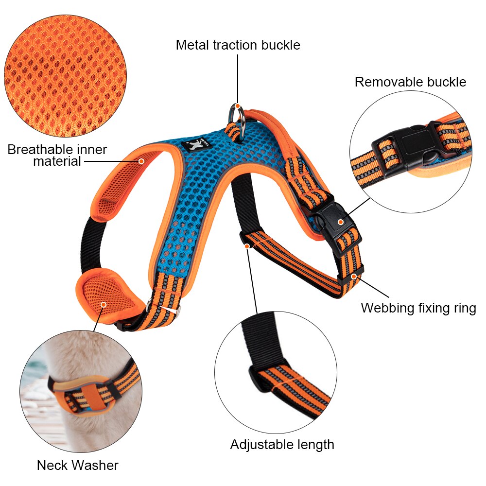 Adjustable nylon harness and leash for dogs - for small and large dogs